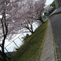 仲良くなろーよ