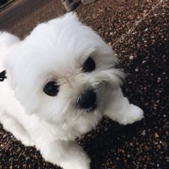 誰か(つд⊂)ｲﾅｲかなぁ(´・ω・｀)