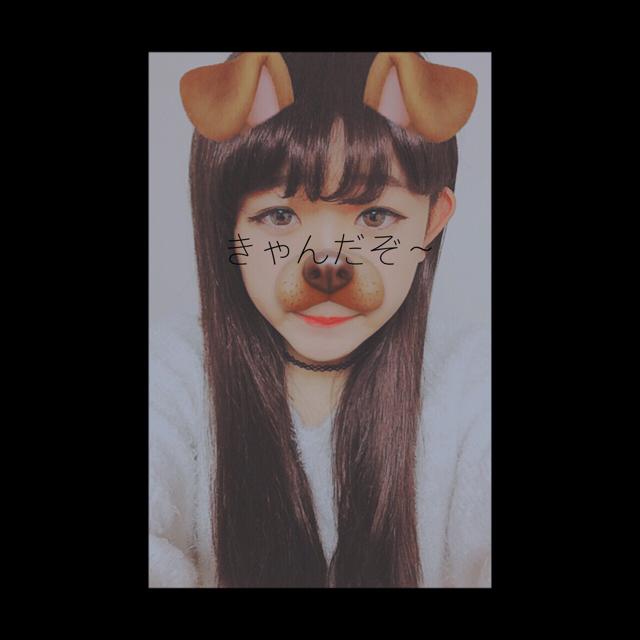 きゃん
