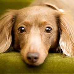 エイゾーのトーク