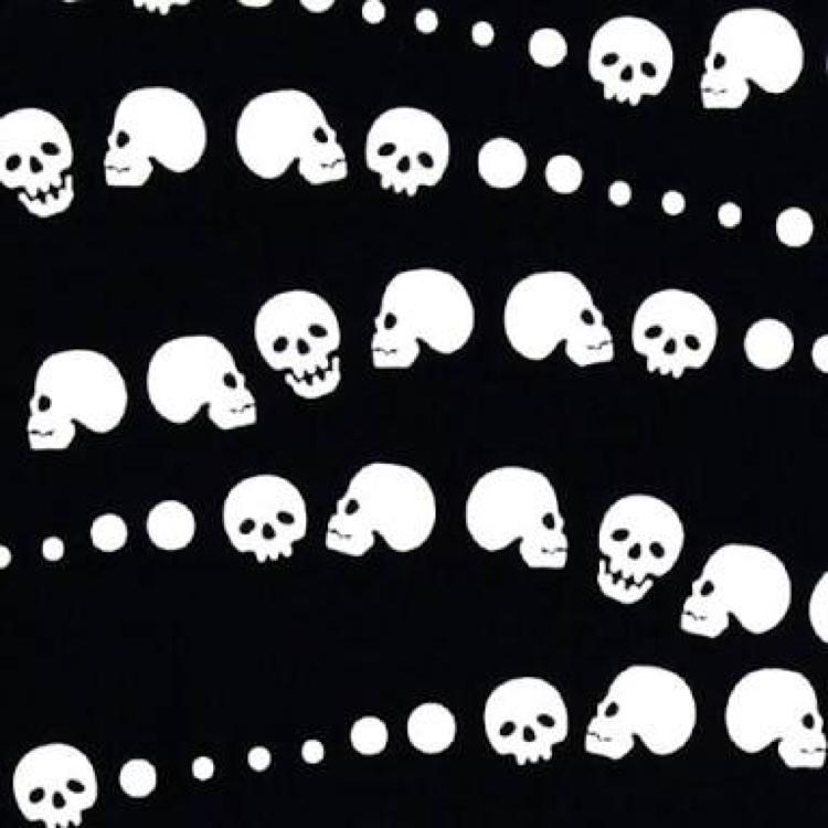 かめっちのトーク