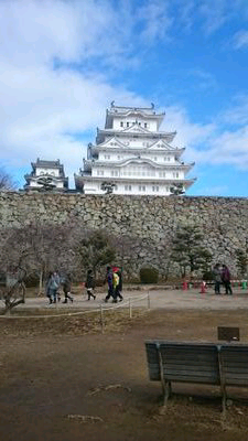とにー