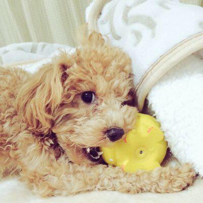 卍土竜卍のトーク