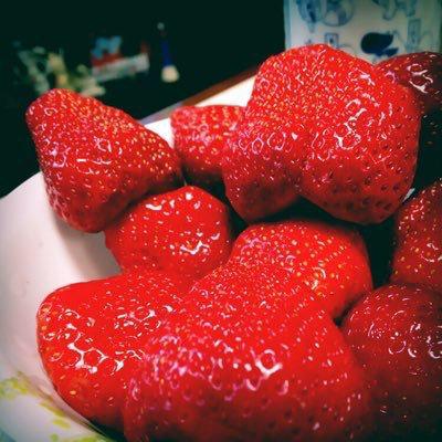 ひかりのトーク