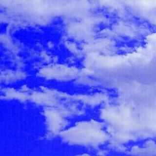 【お知らせ】