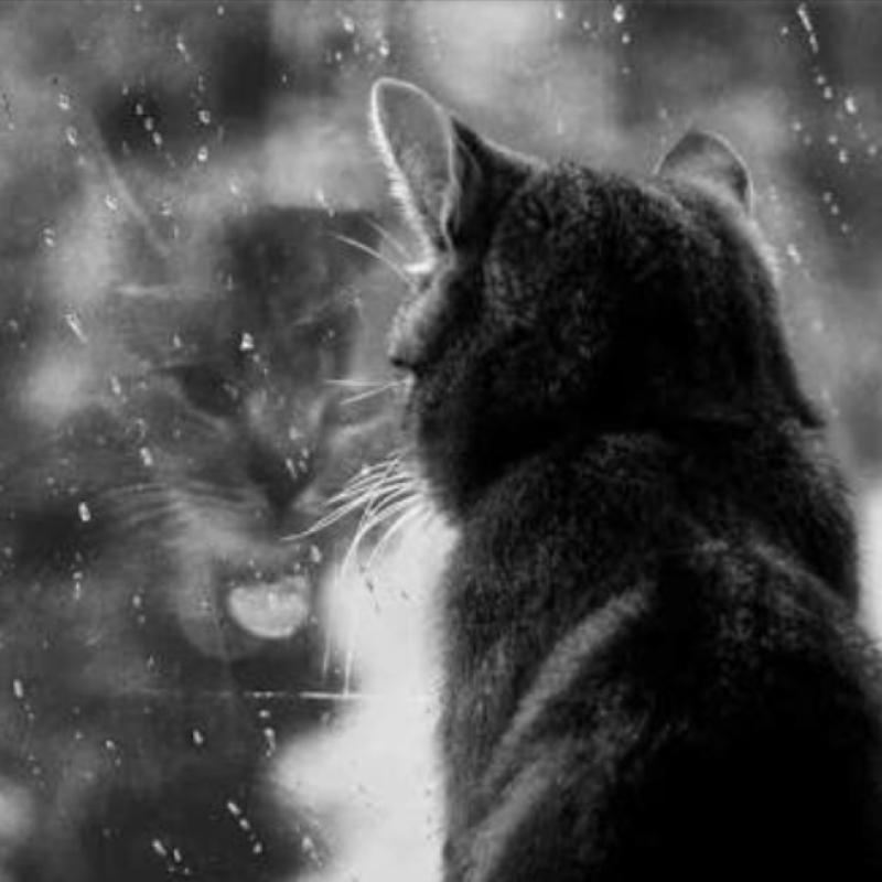 優花のひとりごと(コメント有り)