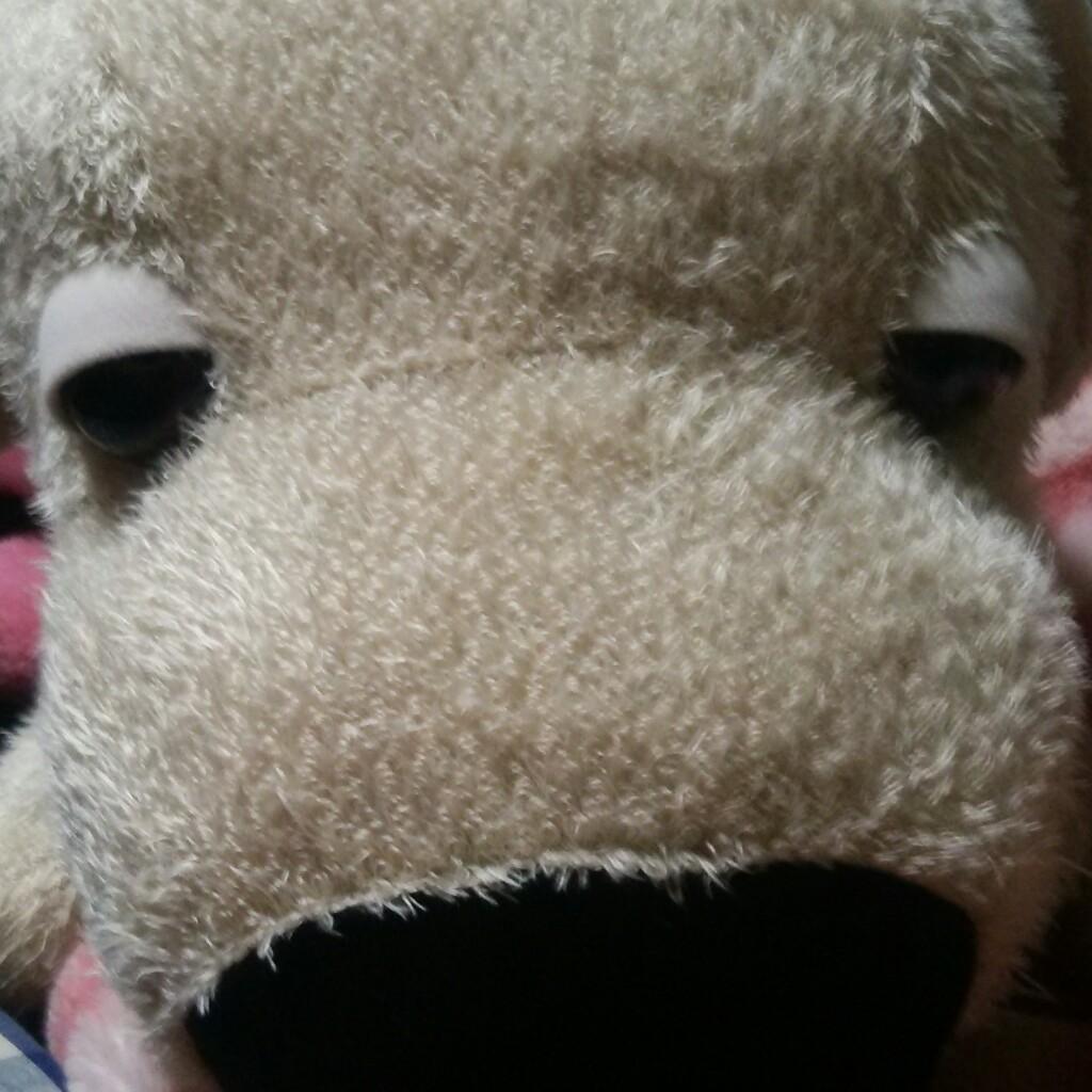 拓わんこの懺悔の部屋