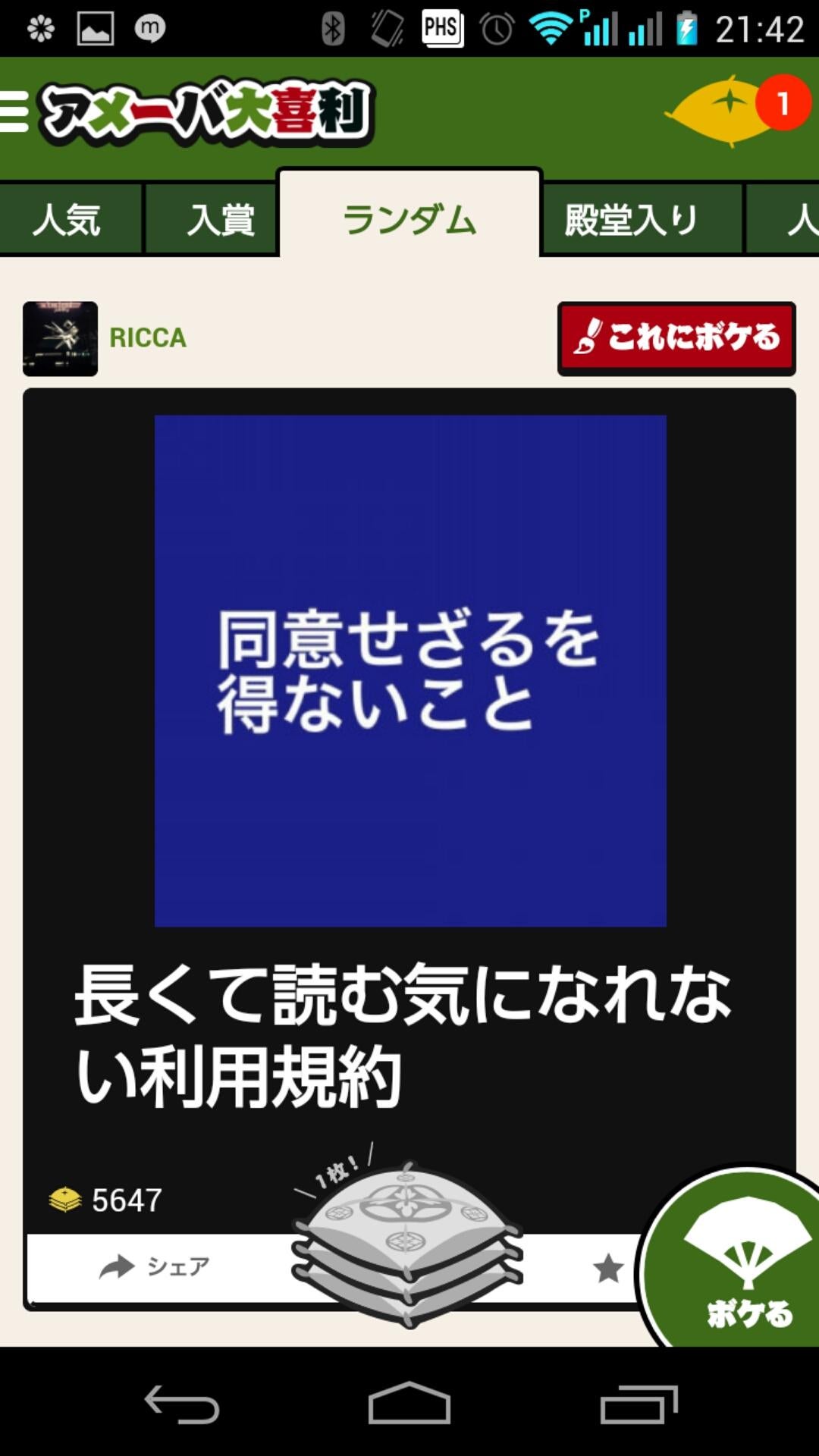 投稿画像