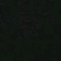 野田尚樹