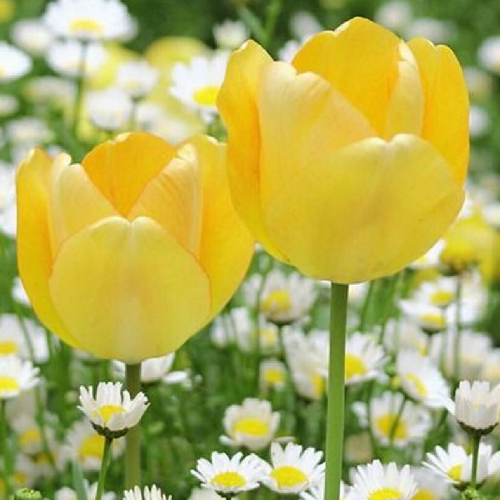 真雛の書き散らし💕