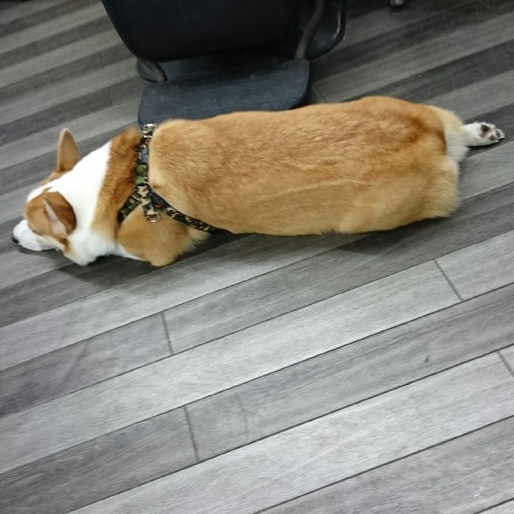 リエイのトーク