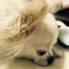 まったりのんびりと