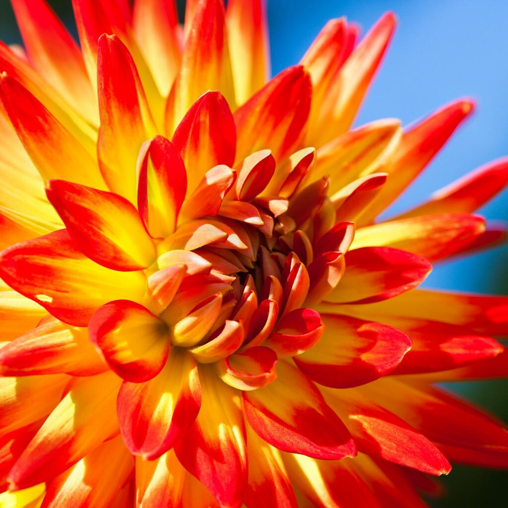 おはなしする部屋♪