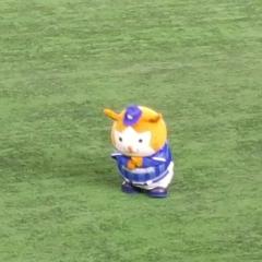 明石や🐟マグロ