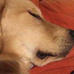 すと一のトーク