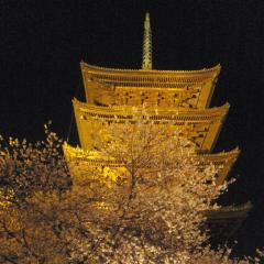 京都　奈良　四国の人居ますか？