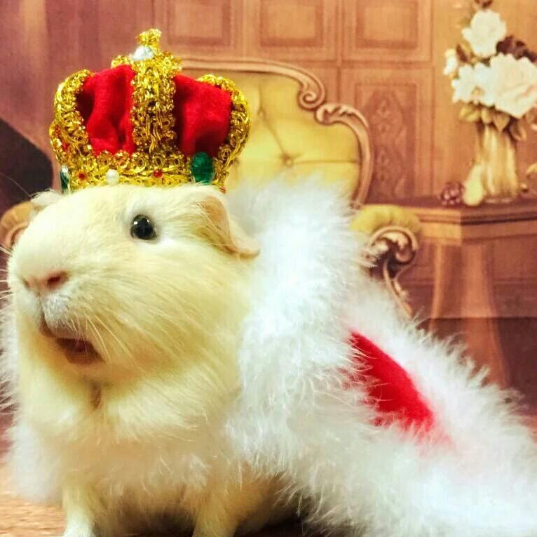 ペコ♥でーすからも❗