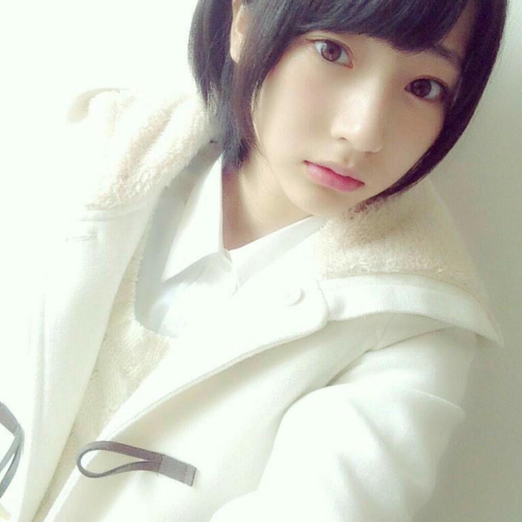 葵
