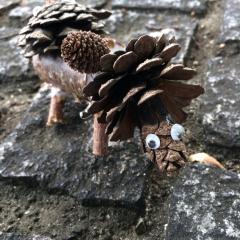 マツケン君のトーク