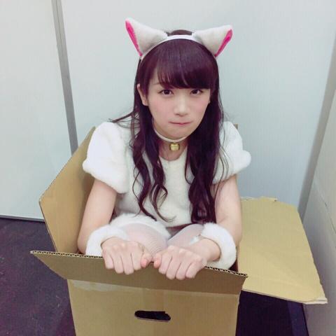 ぶーぶのトーク