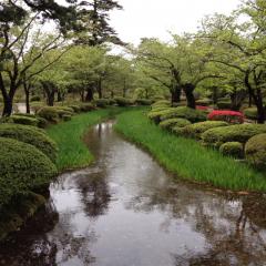 好きな歌を書いてます