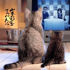 前しか的保管庫