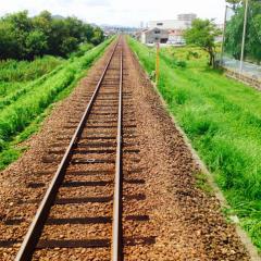 もろはしの頭ん中