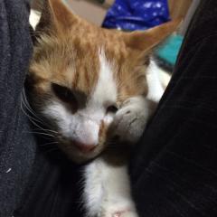 りょうた