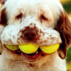 にーなのトークです