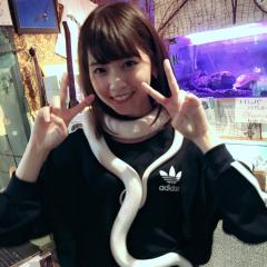 さとけー⊿のトーク