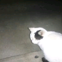 Hideto Konisiのトーク