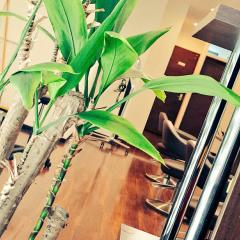 ひとりごと部屋