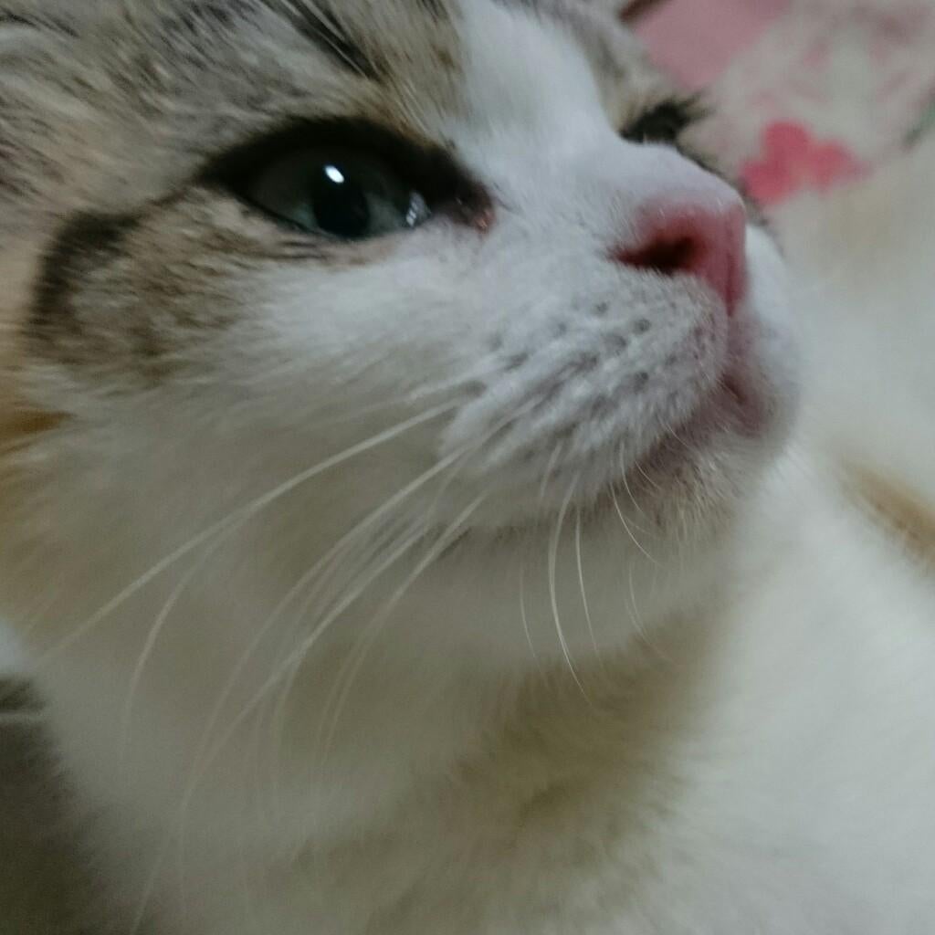 ひでぇ～(笑)の、ひで☆