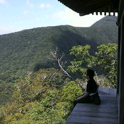 やまだもとみ