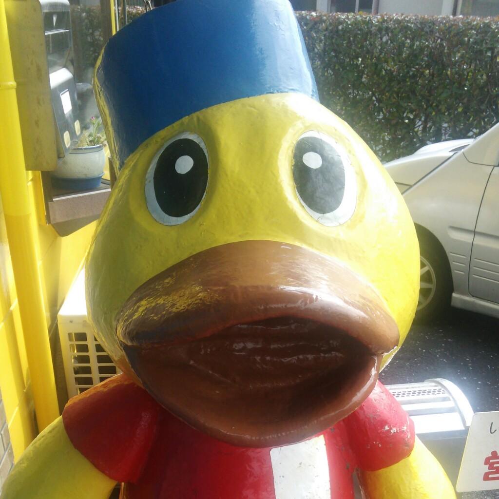 ガッチョ♪