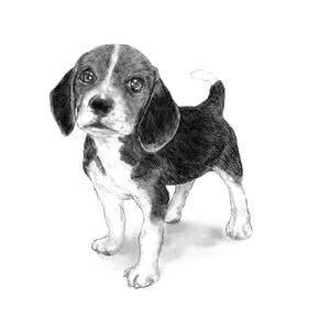 髙野 泰河のトーク