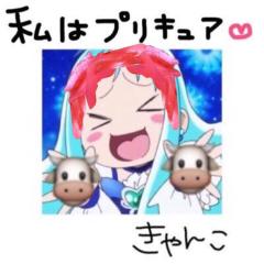 きゃんこ