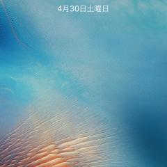 breloomのトーク