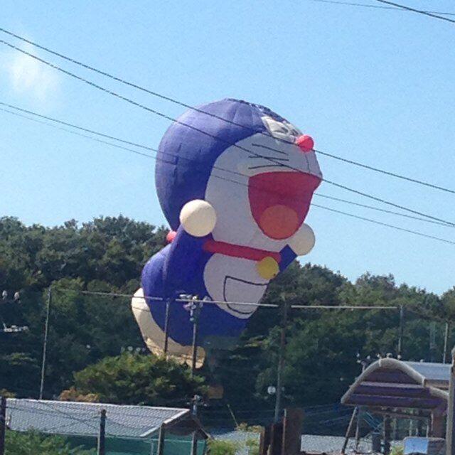 だいだい