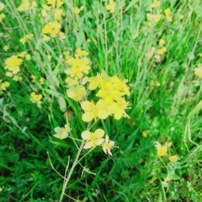 すぅ