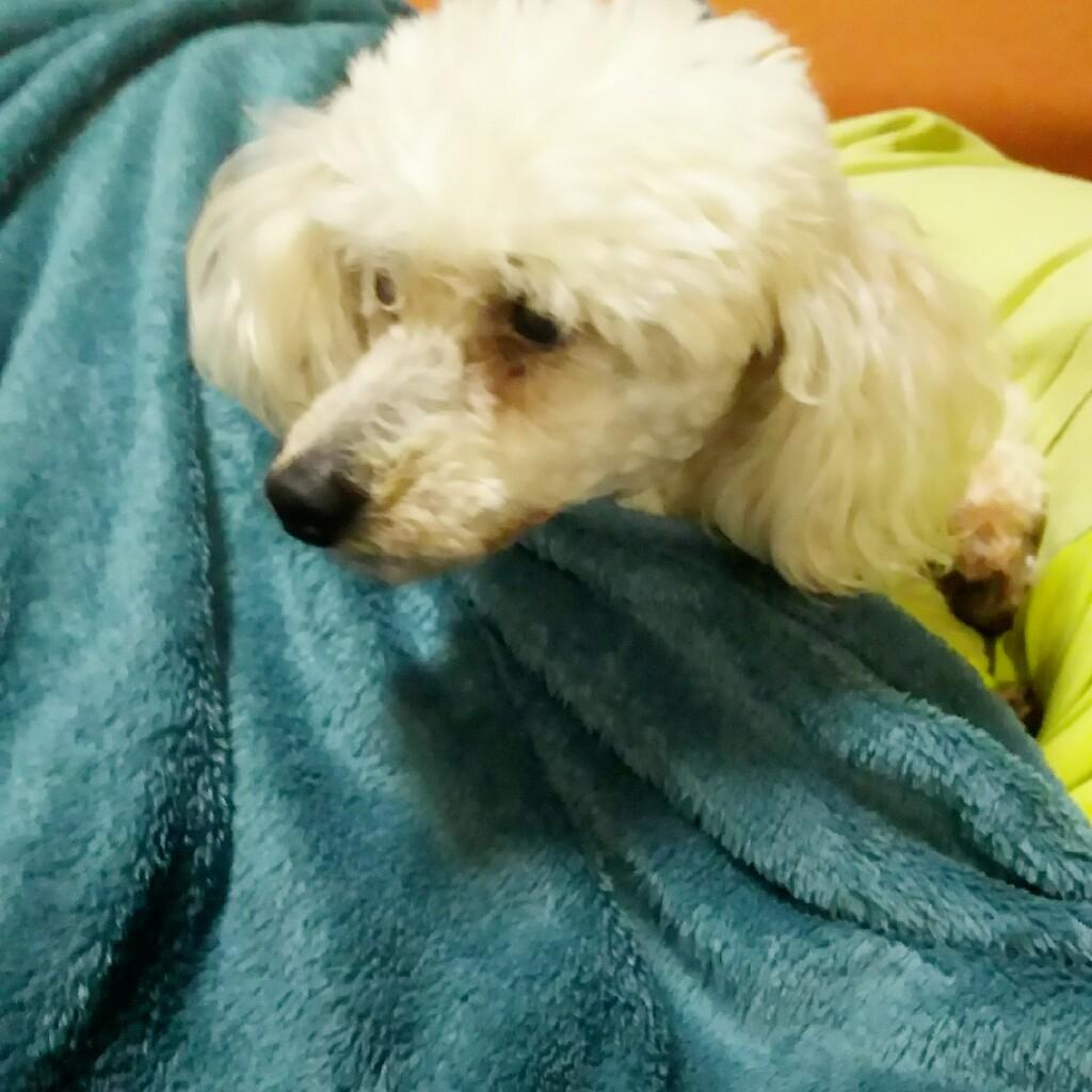 ナオヤ