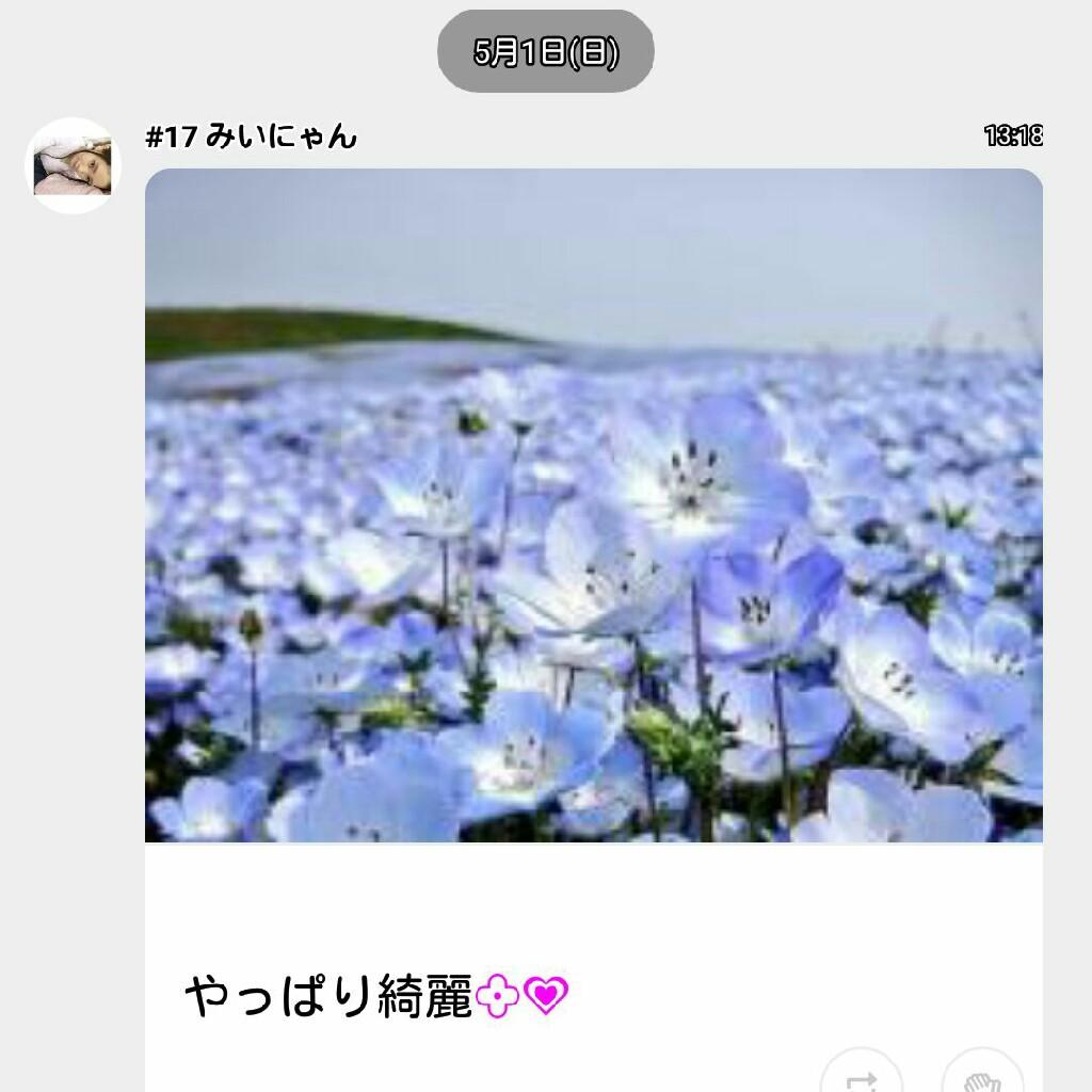 綺麗ですねぇ☺