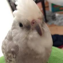 なんでもトーク