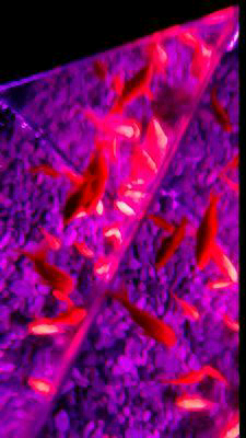 じゅんたのトーク