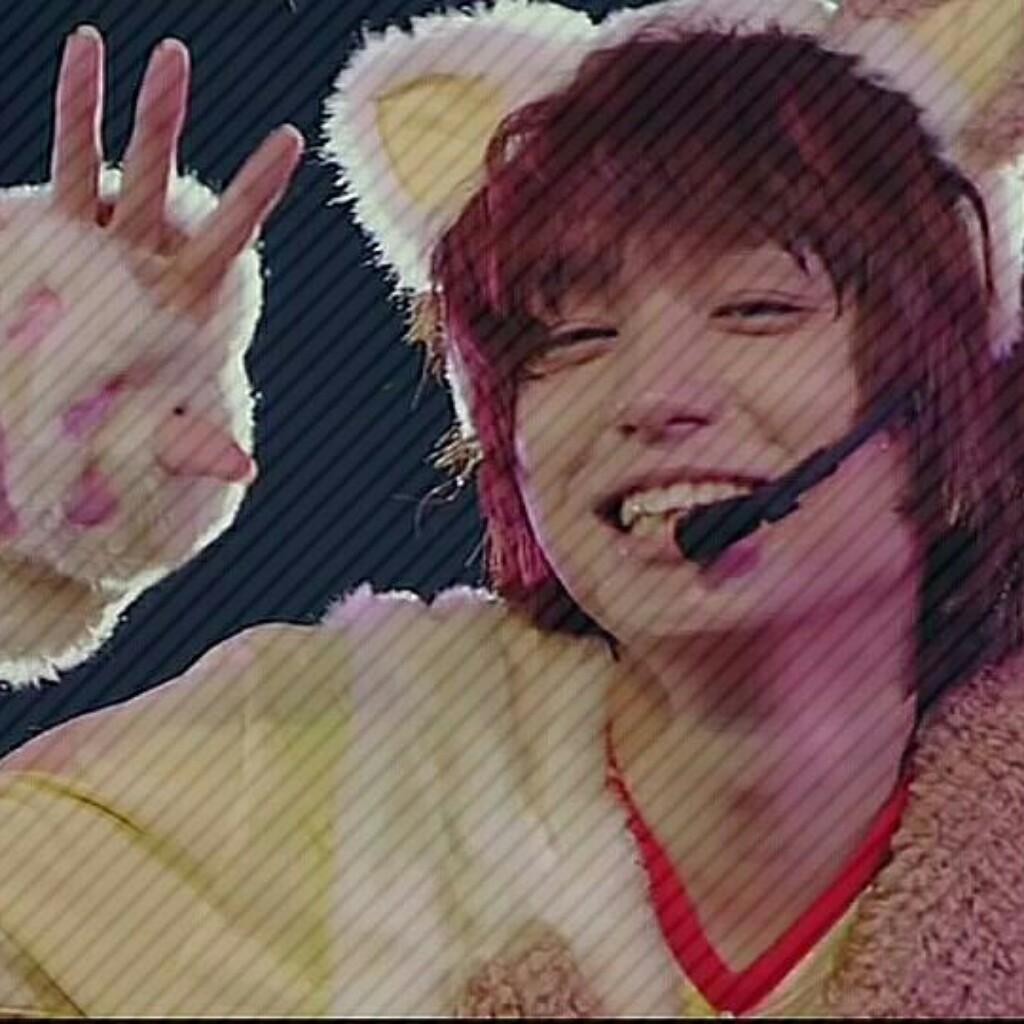 いニャーけいのトーク