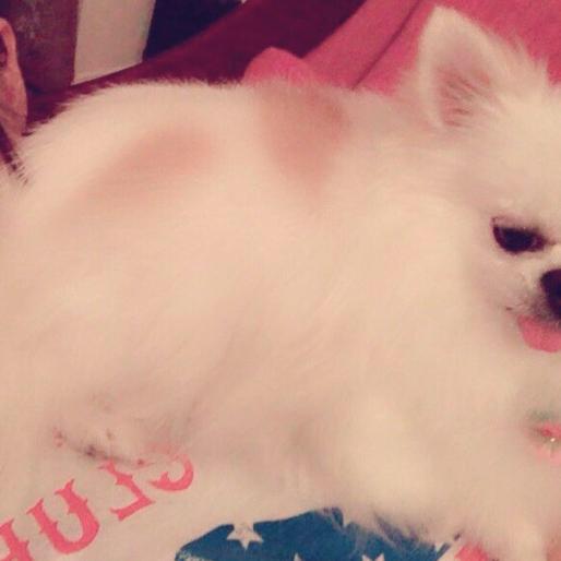 ギガちゃんのトーク