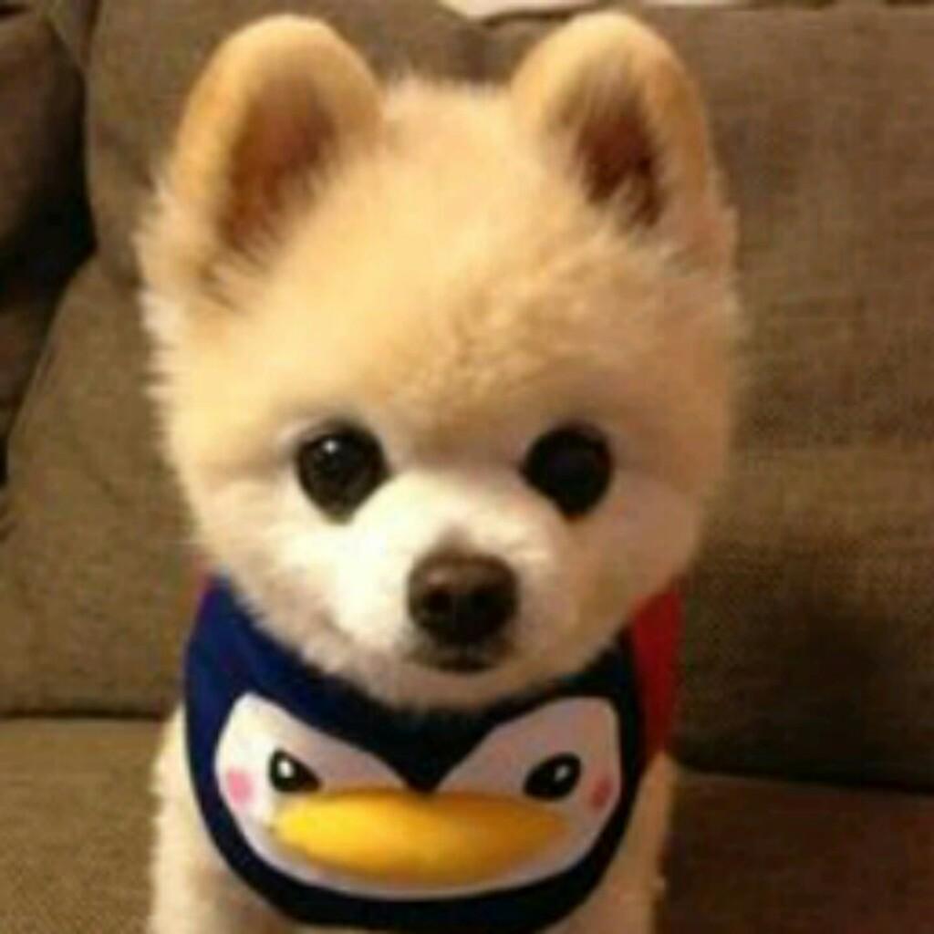 ざらめあずき