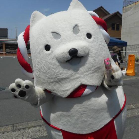 がっきー