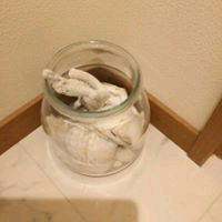 静江内藤