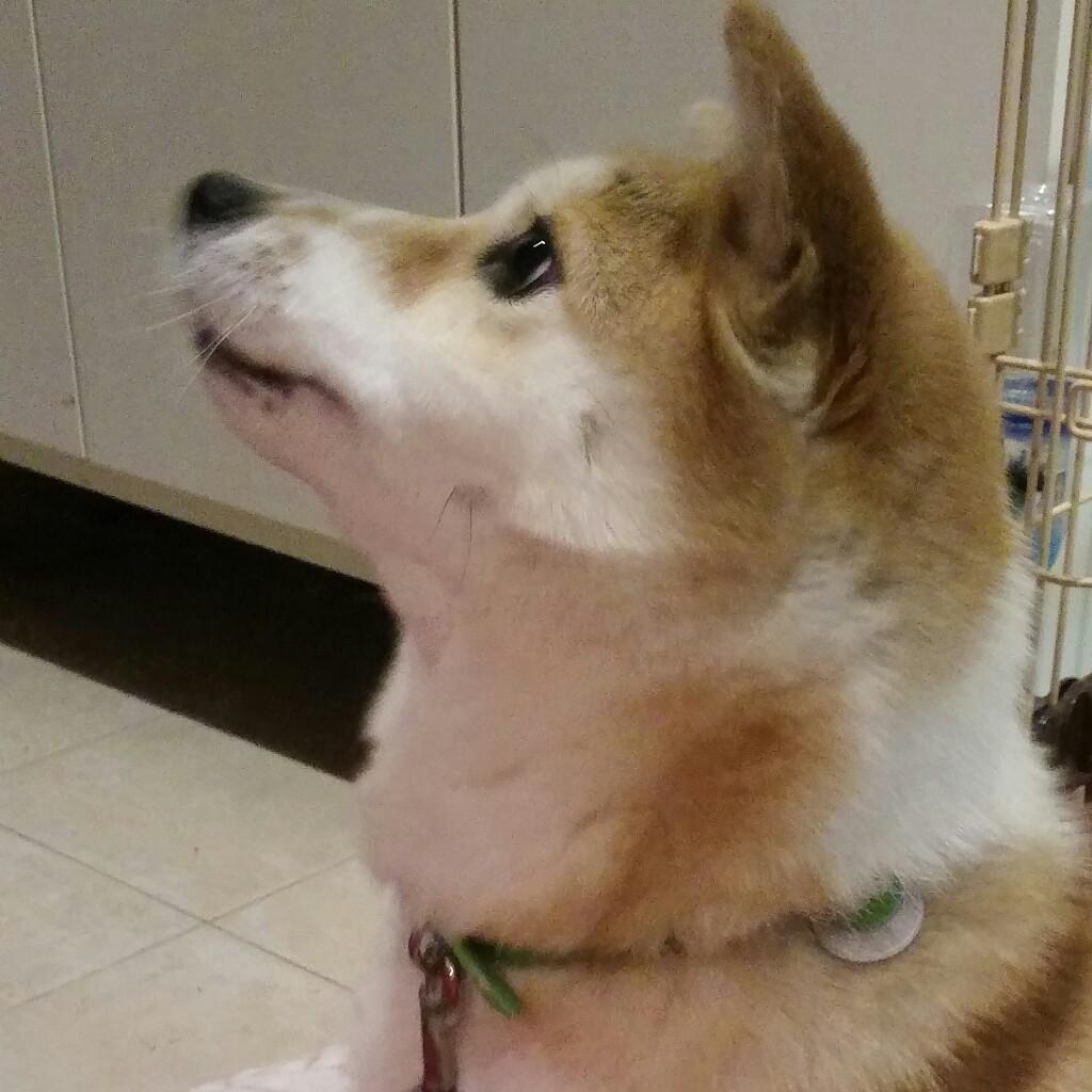 ミユさん